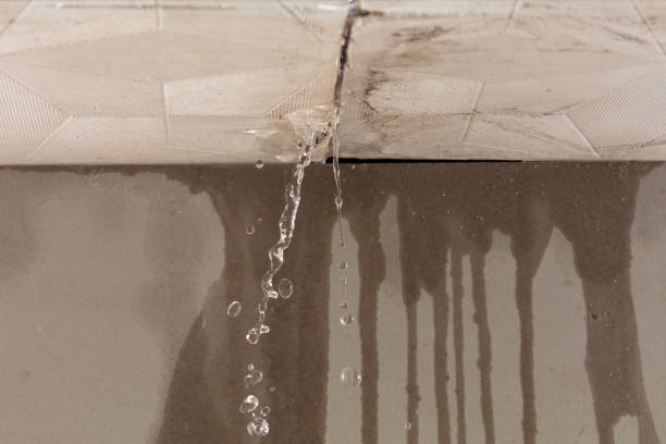 Professional Structural Drying technician working in Brice, OH